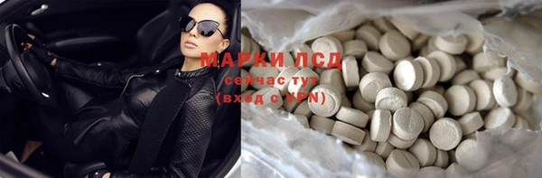 ПСИЛОЦИБИНОВЫЕ ГРИБЫ Алзамай