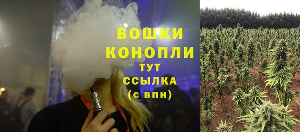 стаф Нефтегорск