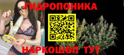 стафф Обь